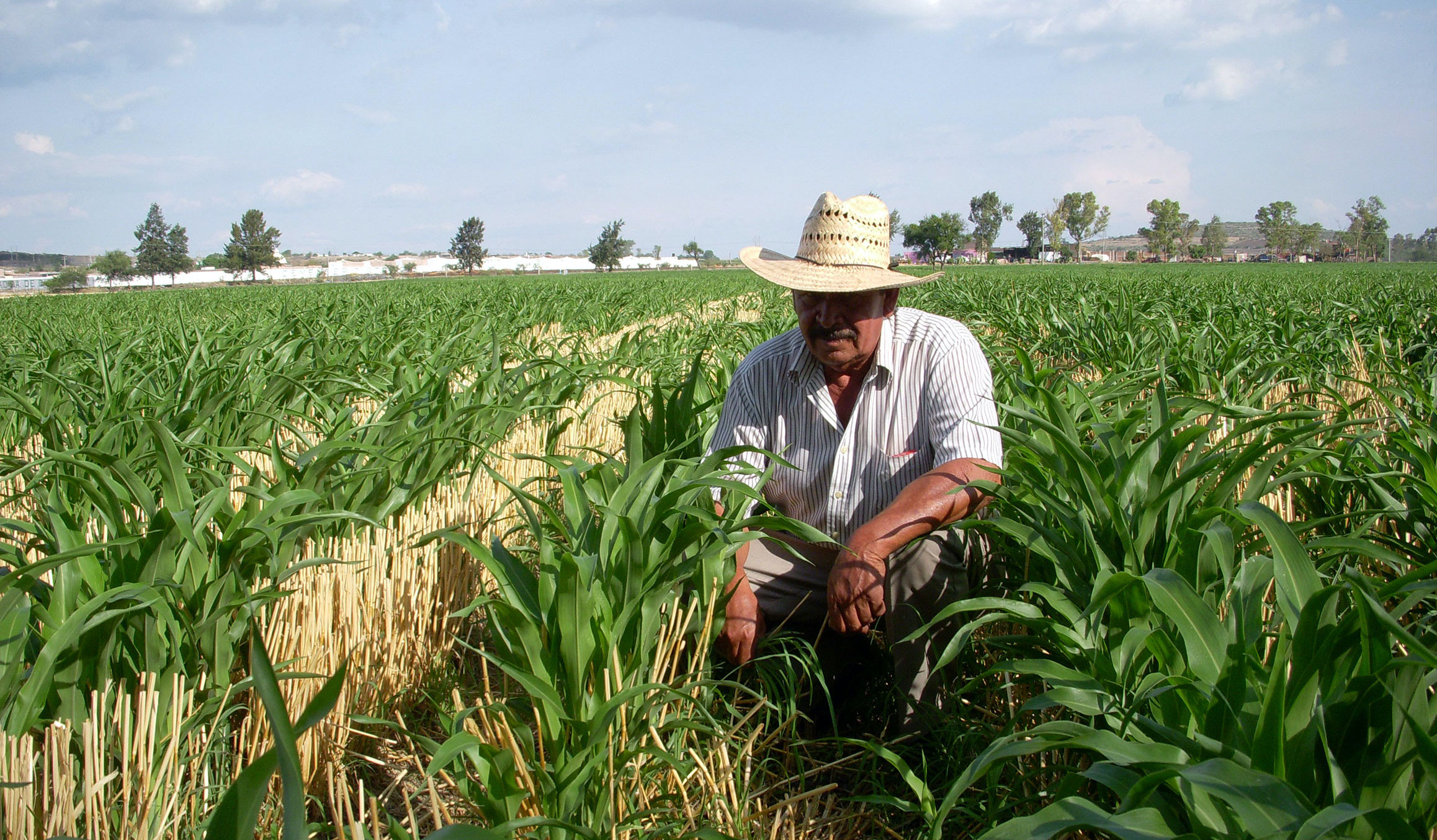 AGROS_data_agricultura_america_latina_Everis